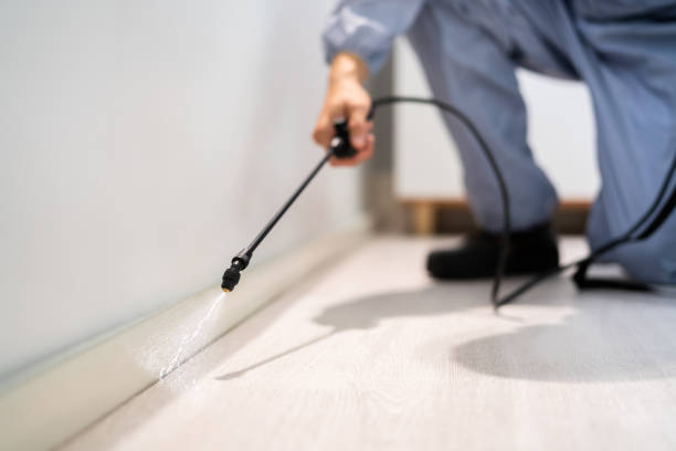 Licensed Fumigation Services service in Grady County County, OK - Nex Pest Control